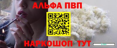 эйфоретик Кингисепп