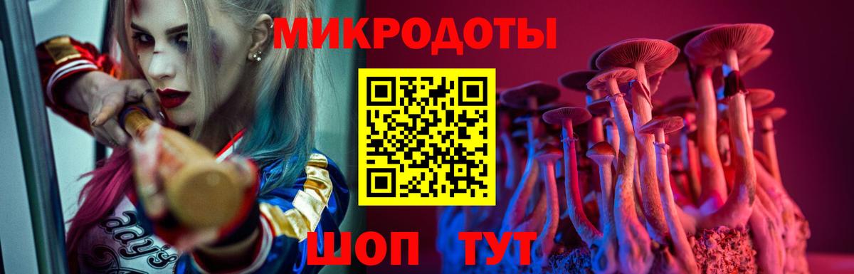 Галлюциногенные грибы GOLDEN TEACHER Курчалой